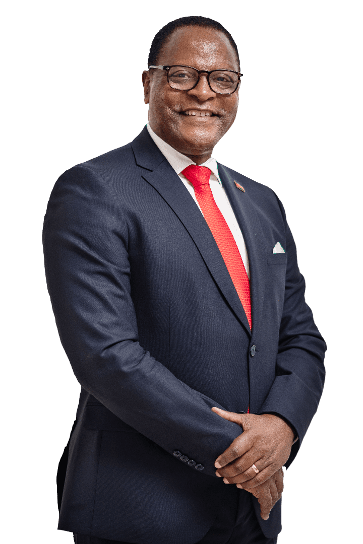 Official Portrait of H.E